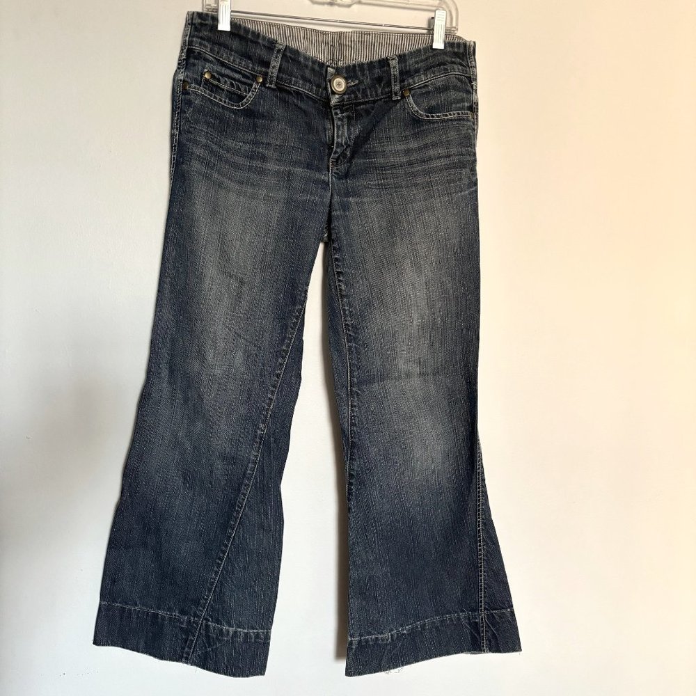 Anthropologie I LEVEL 99 I Wide Leg Jeans I Size 29